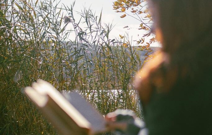 picture of a girl sitting and reading