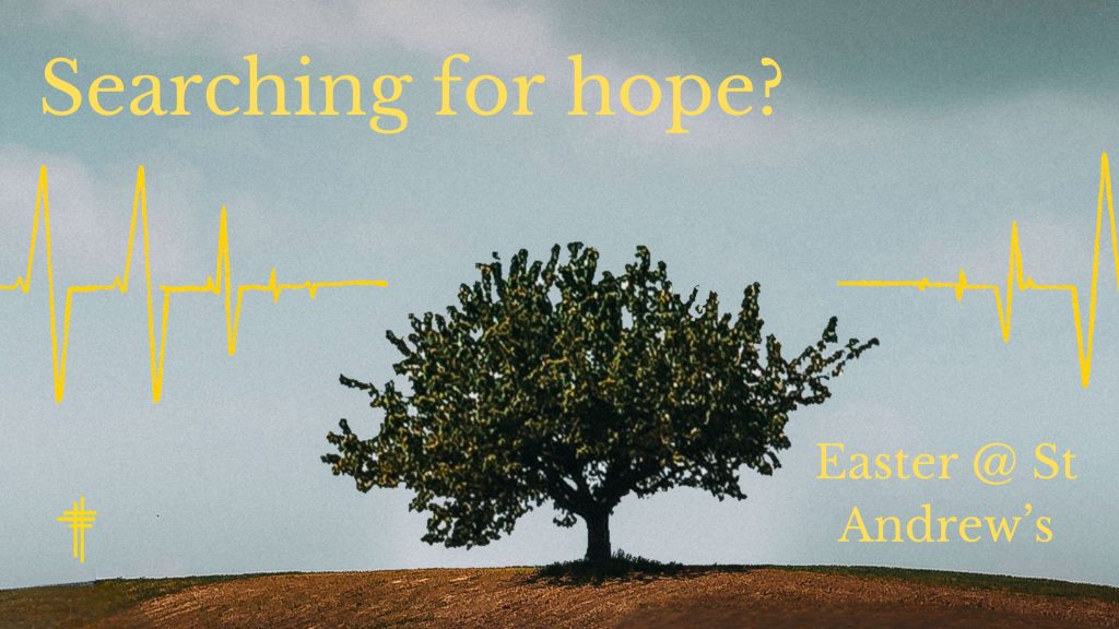 Easter Slide 2024, a tree with the words searching for hope? easter @ St Andrew's